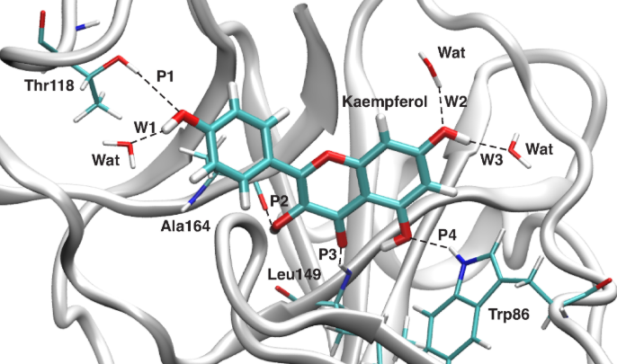 Published protein-ligand hydrogen-bond structure figure