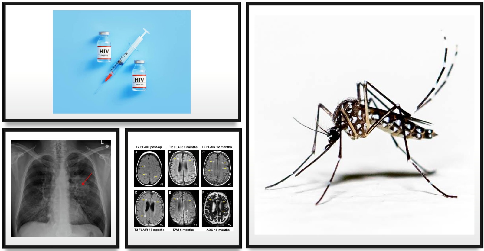 Published dengue molecular interaction figure representing therapeutic research